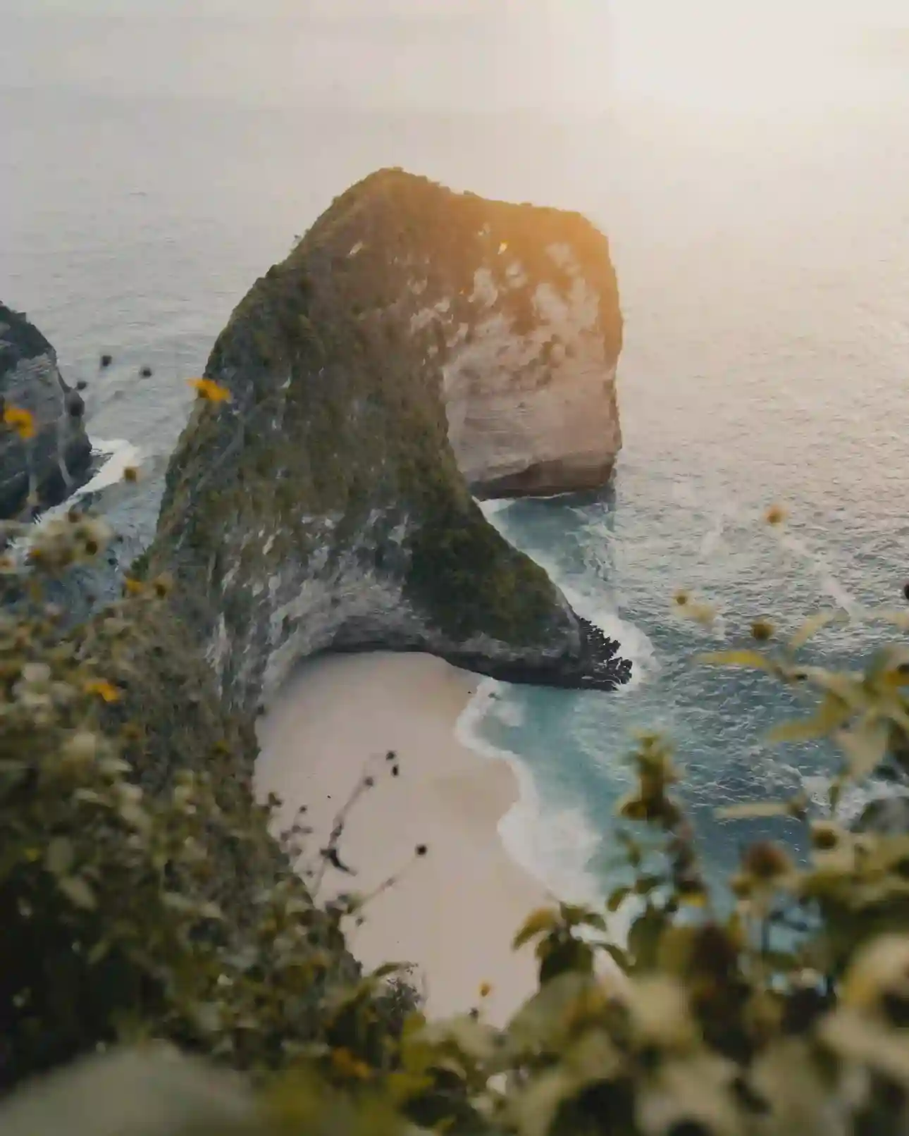 West Tour - Kelingking Beach T-Rex View