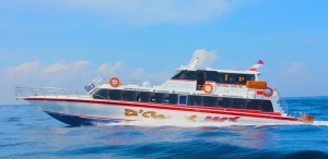 dcamelfastferry | Activities Penida Tour