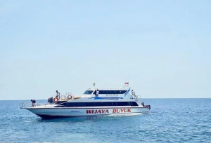 Wijaya Buyuk Booking Here | Activities Penida Tour