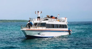 Wanderlust Cruise | Activities Penida Tour